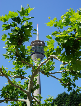 fernsehturm-marion-frenzen-23